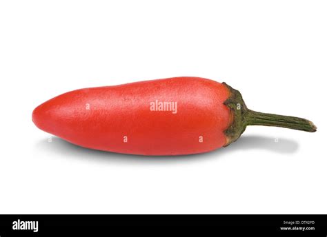 Red Hot Chili Stock Photo Alamy