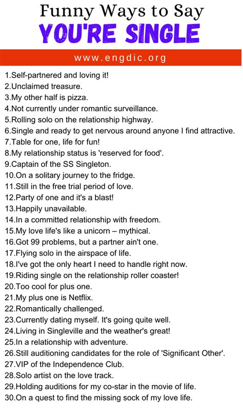 30 Funny Ways To Say You Re Single EngDic