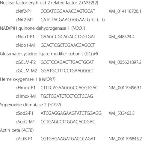 Primers Used For Quantitative Real Time Reverse Transcription