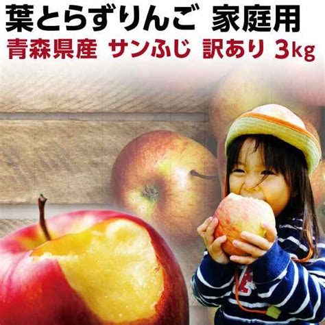 早期予約 りんご 訳あり 送料無料 青森 葉とらず サンふじ ご家庭用 約3kg8〜14玉 産直 世界が認めたリンゴ Y常の通販はau