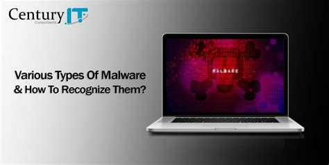 A Guide To The Various Types Of Malware And How To Recognize Them