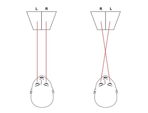 Learning To Free View See Stereoscopic Images With The Naked Eye The