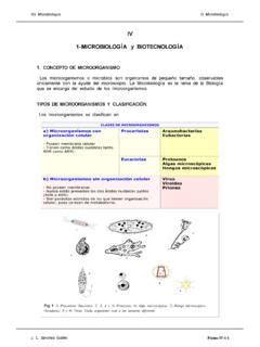 IV 1 MICROBIOLOGÍA y BIOTECNOLOGÍA iv 1 microbiolog 205 a y