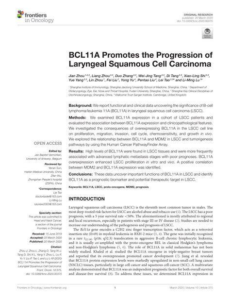 Pdf Bcl11a Promotes The Progression Of Laryngeal Squamous Cell Carcinoma