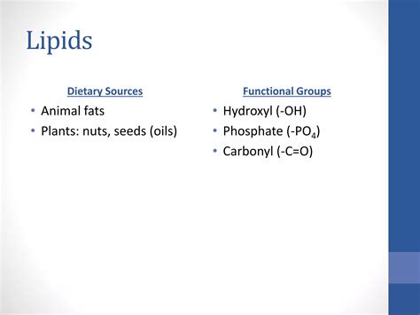 Four classes of macromolecules | PPT