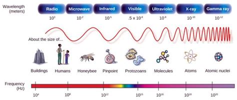 The Illustration Shows The Electromagnetic Spectrum Which Consists Of