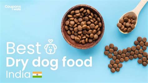 Know All The Best Dry Dog Foods In India For Your Pooch