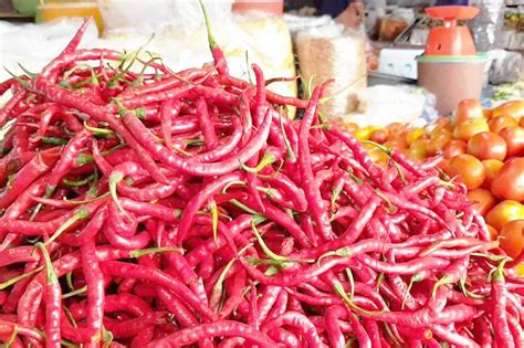 Harga Cabai Merah Di Pasaman Barat Naik Hingga Rp Ribu Per Kg Koran