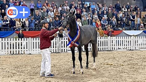 Kieler Nachrichten on Twitter Holstenhalle Neumünster Diamantado