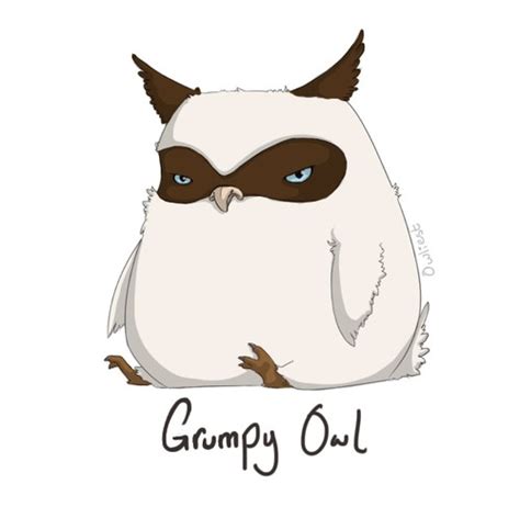 Grumpy Owl Grumpy Cat Art Owls Drawing Owl Illustration