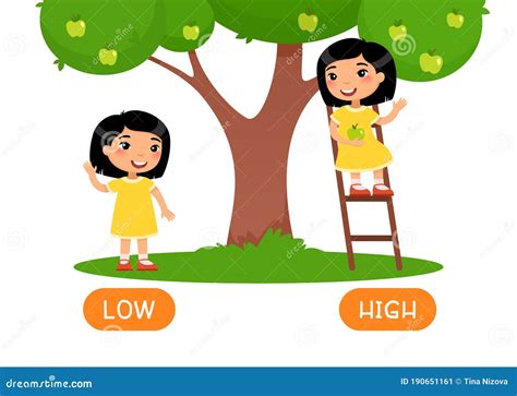 Low And Hight Antonyms Word Card Vector Template Flashcard For English