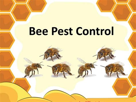 PPT - Why We Need Bee Pest Control PowerPoint Presentation, free