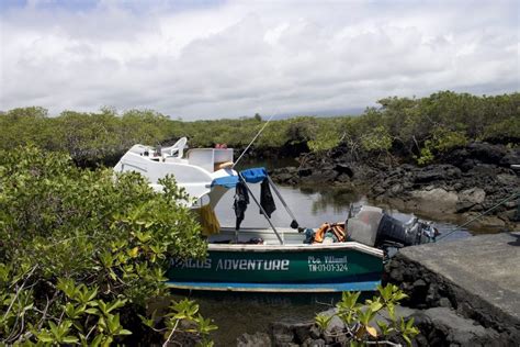 Nuestra Visita A Los T Neles Cabo Rosa Isla Isabela Gal Pagos