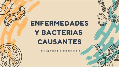 Enfermedades Y Bacterias Causantes Udocz