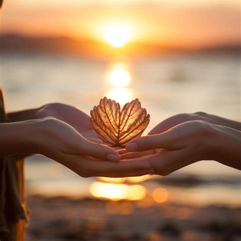 Dos manos sosteniendo una hoja en forma de corazón al atardecer Foto