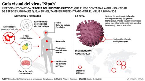 El Virus Nipah Vuelve A Azotar La India Y Hace Saltar Las Alarmas