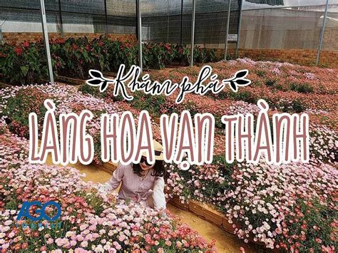 Làng hoa Vạn Thành Đà Lạt - Thông tin đường đi và giá vé 2025