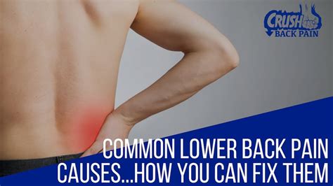 Lower Back Pain Causes / Lower Back Pain Causes in Females: Symptoms, Treatments, More - The ...