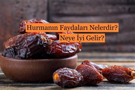 Hurman N Faydalar Nelerdir Neye Yi Gelir G Zel Bilgiler