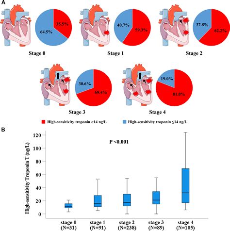 Relationship Of Upstream Cardiac Damage With Myocardial Injury In