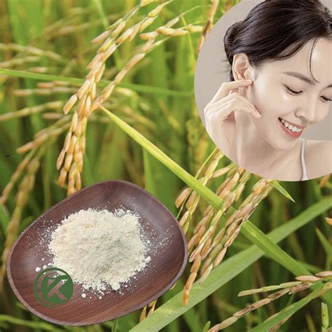 Rice Bran Extract Ceramide Oryza Ceramide Manufacturer CGMP