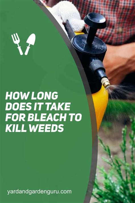 How Long Does It Take For Bleach To Kill Weeds