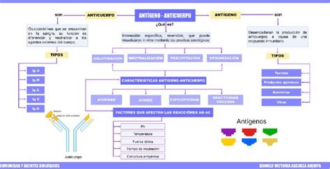 Reacci Nes Antigeno Anticuerpo Glucoproteinas Que Se Encuentran En