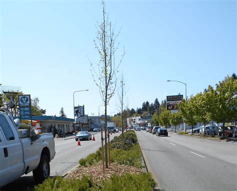 Lake City Way Seattle traffic changes are impacting local businesses 19