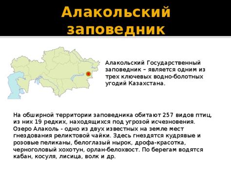 Презентация "Заповедные зоны"