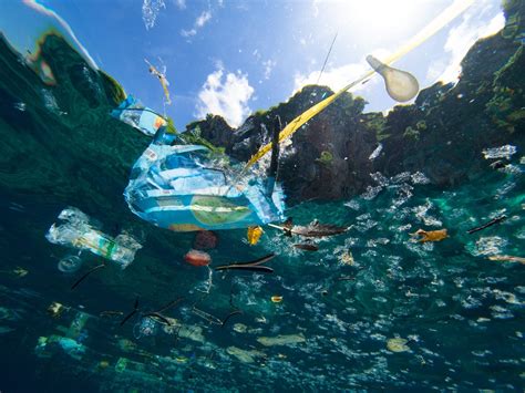 Il Peso Dell Inquinamento Marino Galleggiano Sulla Superficie Degli