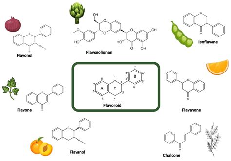 IJMS Free Full Text TRAIL Sensitizing Effects Of Flavonoids In Cancer