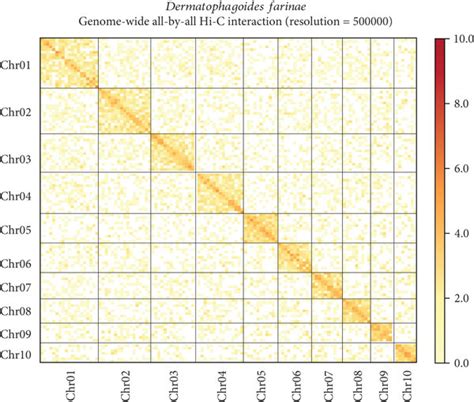 Features Of The Dermatophagoides Farinae Genome A Genome Wide