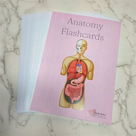 Master Anatomy and Physiology with These Essential Flashcards: Detailed ...