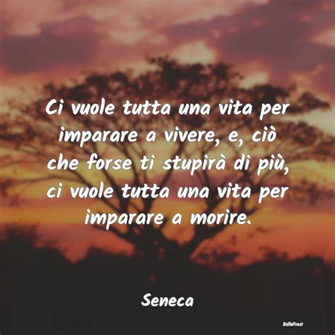 Frasi Di Lucio Anneo Seneca Ci Vuole Tutta Una Vita Per Imparare A V