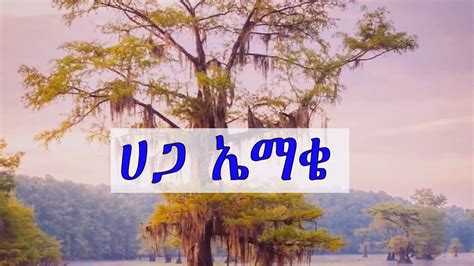 ሀጋ ኤማቄ የቦንጮ መ ኢ ቤ ክ መዘመራን Haga Emake boncho mekane yesus chairs