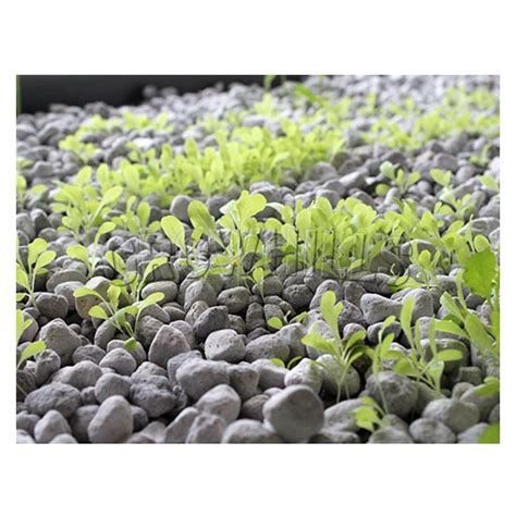 Агро пемза - купить по выгодной цене с доставкой по России | GrowHills