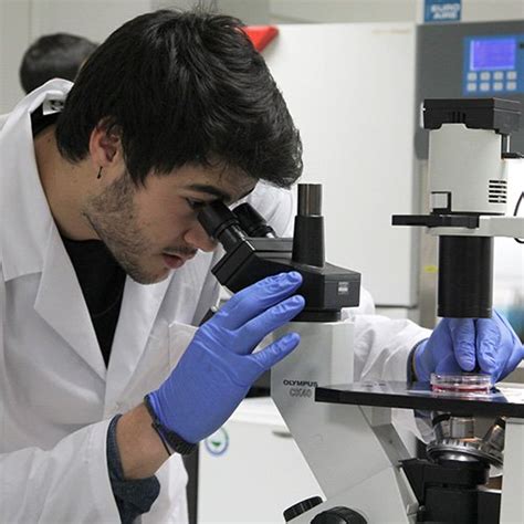 Grado Ingeniería Biomédica Madrid Dónde Estudiar Bioingeniería