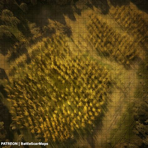 Corn Field Battle Map Dnd Battle Map D D Battlemap Dungeons And