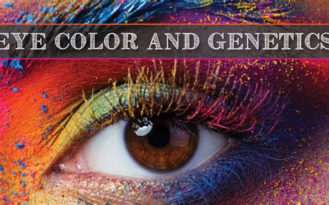 Eye Color & Genetics - Blink Eyecare