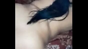 Sexo Gostoso Bbw Big Ass XNXX