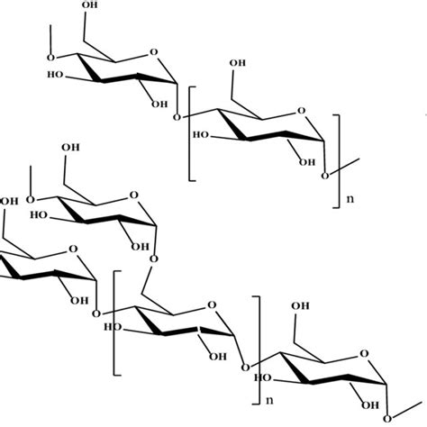 Structures of (A) amylose and (B) amylopectin starch biopolymers ...