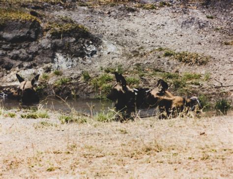 Hot Springs Tour African Escapades Zambia
