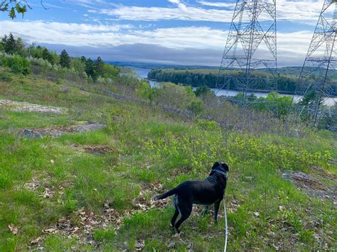 Tim - Yes, we get updates from Ellie. She's getting her exercise; Sammy