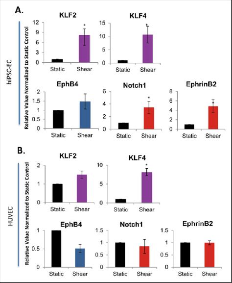 Quantitative Real Time Reverse Transcription Polymerase Chain Reaction