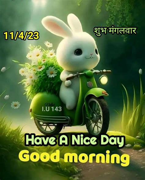 🌞 Good Morning🌞 Images • I U 143 Iqbal U Shekh On Sharechat