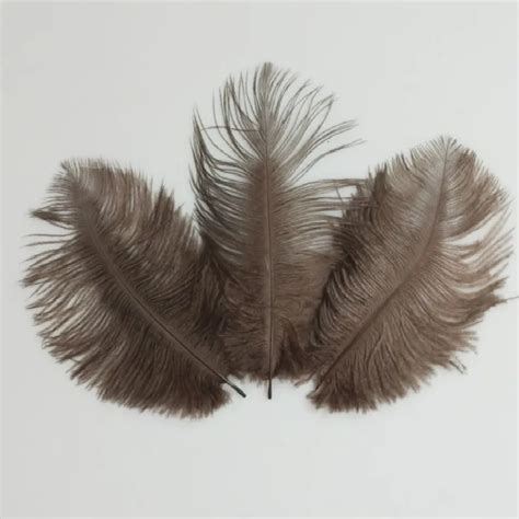 Hot 100 Pcs Natural 15 20cm 6 8 Inch Coffee Color Ostrich Feathers