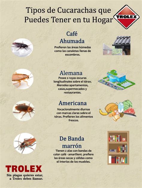 Pin De Trolex En Infographics Trolex Control De Plagas Plagas