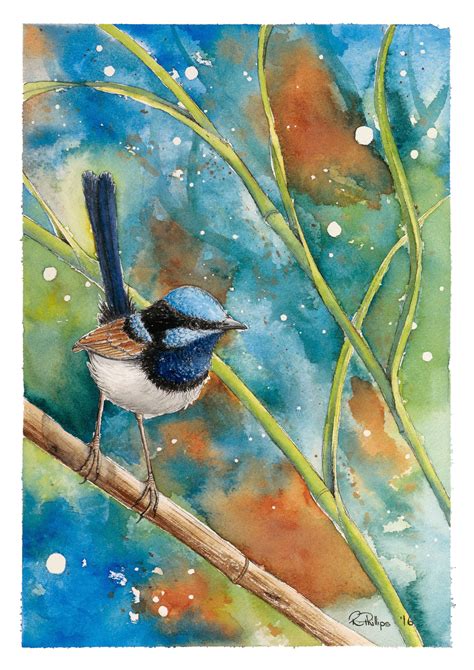 Superb Fairy Wren Fine Art Print Of Original Watercolour Etsy Bird