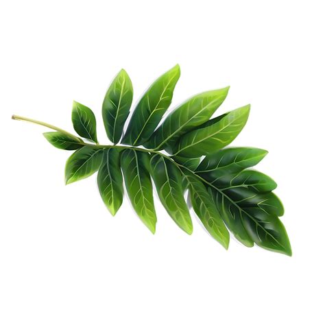 Download Soft Green Leaves Png 13