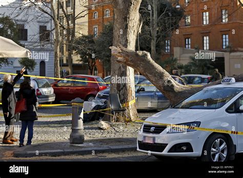 Albero Forte Hi Res Stock Photography And Images Alamy